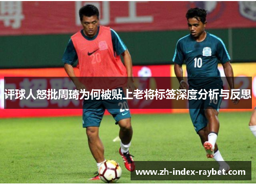 评球人怒批周琦为何被贴上老将标签深度分析与反思 评球人怒批周琦为何被贴上老将标签深度分析与反思