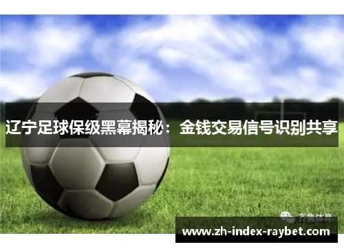 辽宁足球保级黑幕揭秘:金钱交易信号识别共享 辽宁足球保级黑幕揭秘:金钱交易信号识别共享