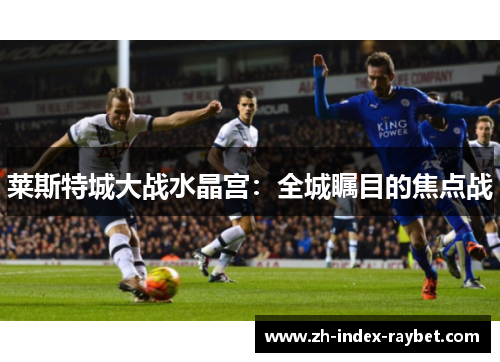 莱斯特城大战水晶宫:全城瞩目的焦点战 莱斯特城大战水晶宫:全城瞩目的焦点战
