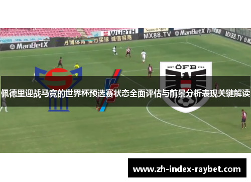 佩德里迎战马竞的世界杯预选赛状态全面评估与前景分析表现关键解读